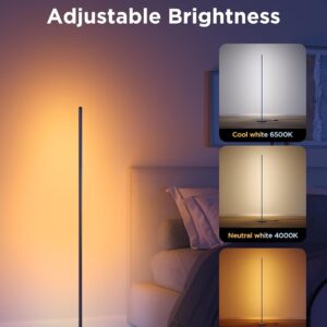 LED floor lamp